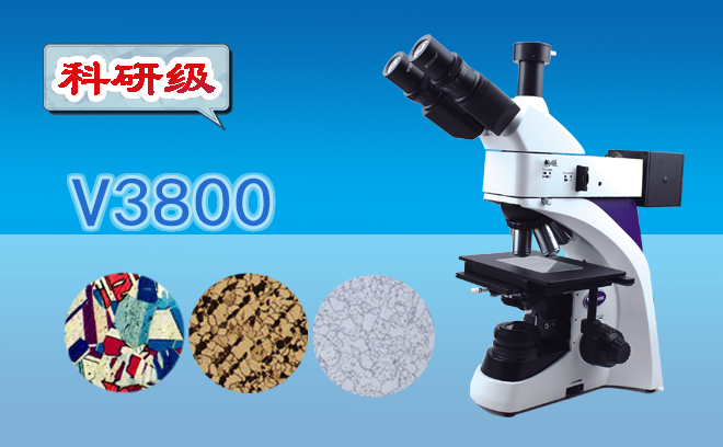 顯微鏡資訊：各種粘土膠結微粒直徑測量顯微鏡